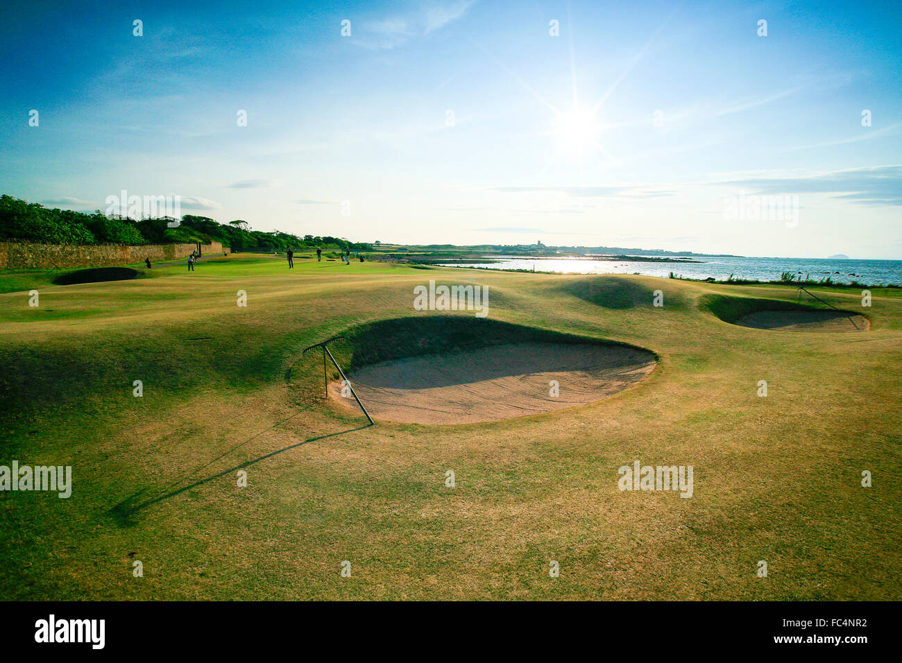 Dunbar Golf Club, Schottland. Stockfoto
