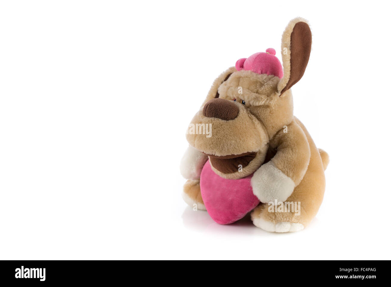 Plüschtier Hund auf weißem Hintergrund Stockfoto