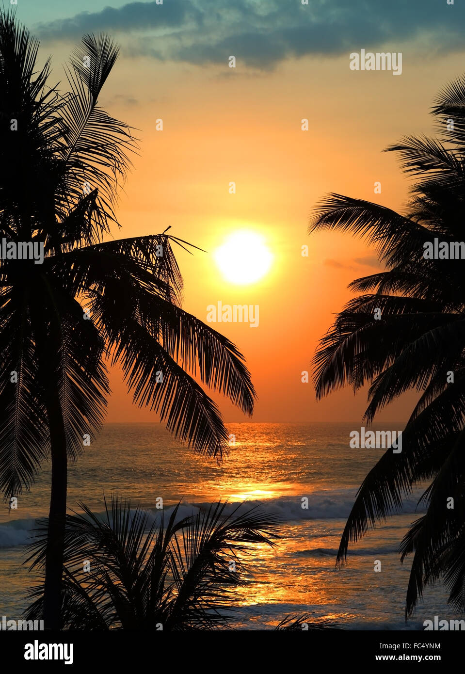 Palmen und tropischen Meer Sonnenuntergang Stockfoto