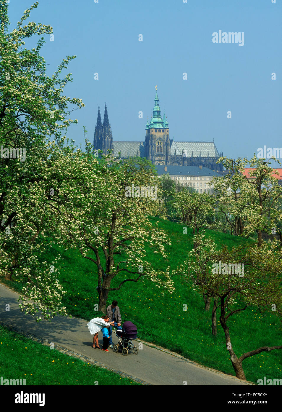 Familie auf Gehweg unter Apfelbäumen blühen auf den Petrin-Hügel in Prag mit St Vitu s Cathedral und Hradschin Burg Stockfoto