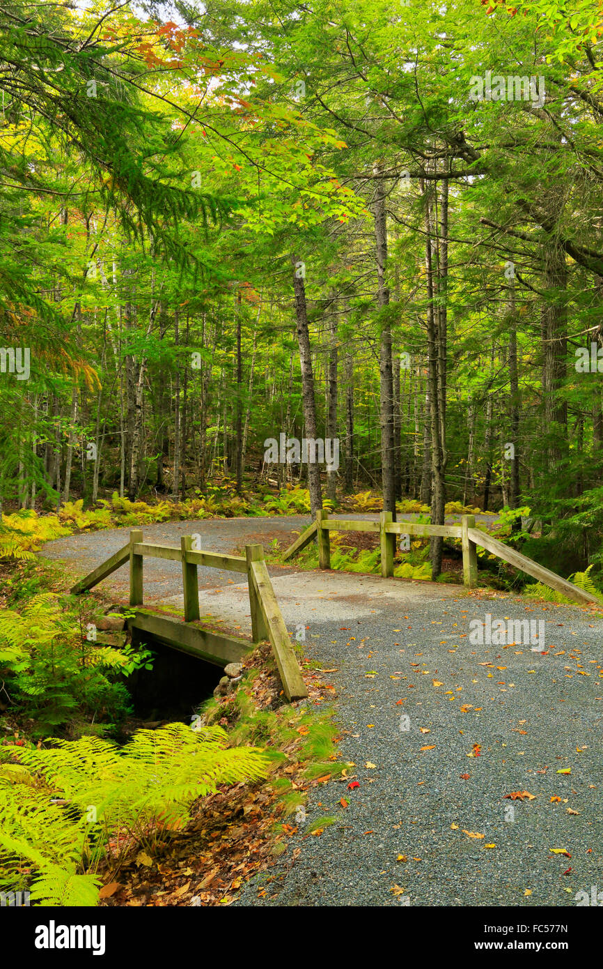 Eine der sieben Brücken in der Nähe von Karrenweg Beitrag 10, Acadia National Park, Maine, USA Stockfoto
