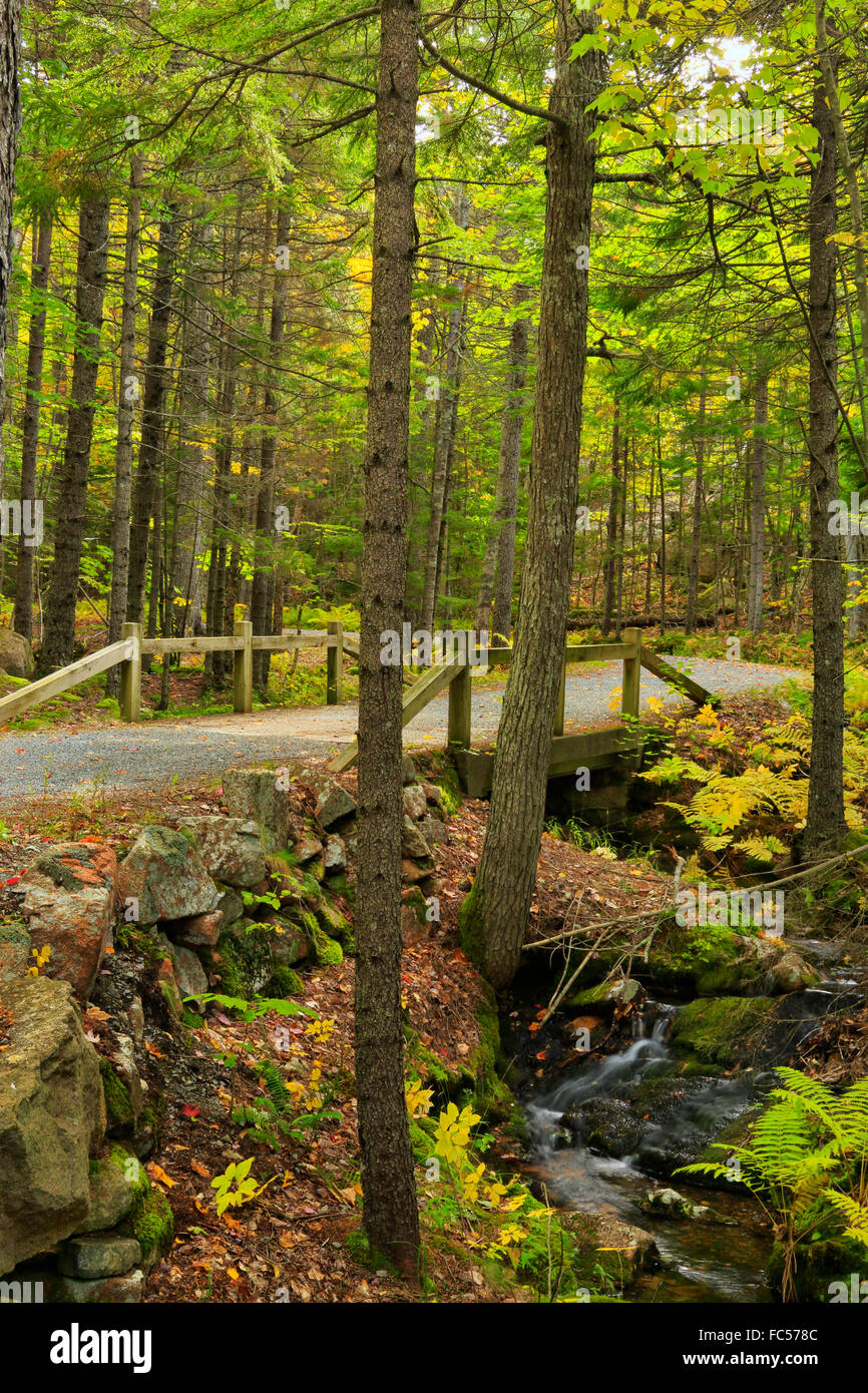 Eine der sieben Brücken in der Nähe von Karrenweg Beitrag 10, Acadia National Park, Maine, USA Stockfoto