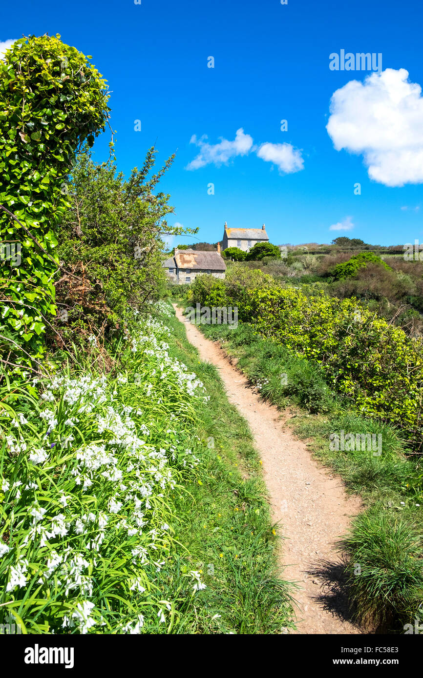 Der Südwest-Küste-Wanderweg in der Nähe von Prussia Cove in Cornwall, Großbritannien Stockfoto