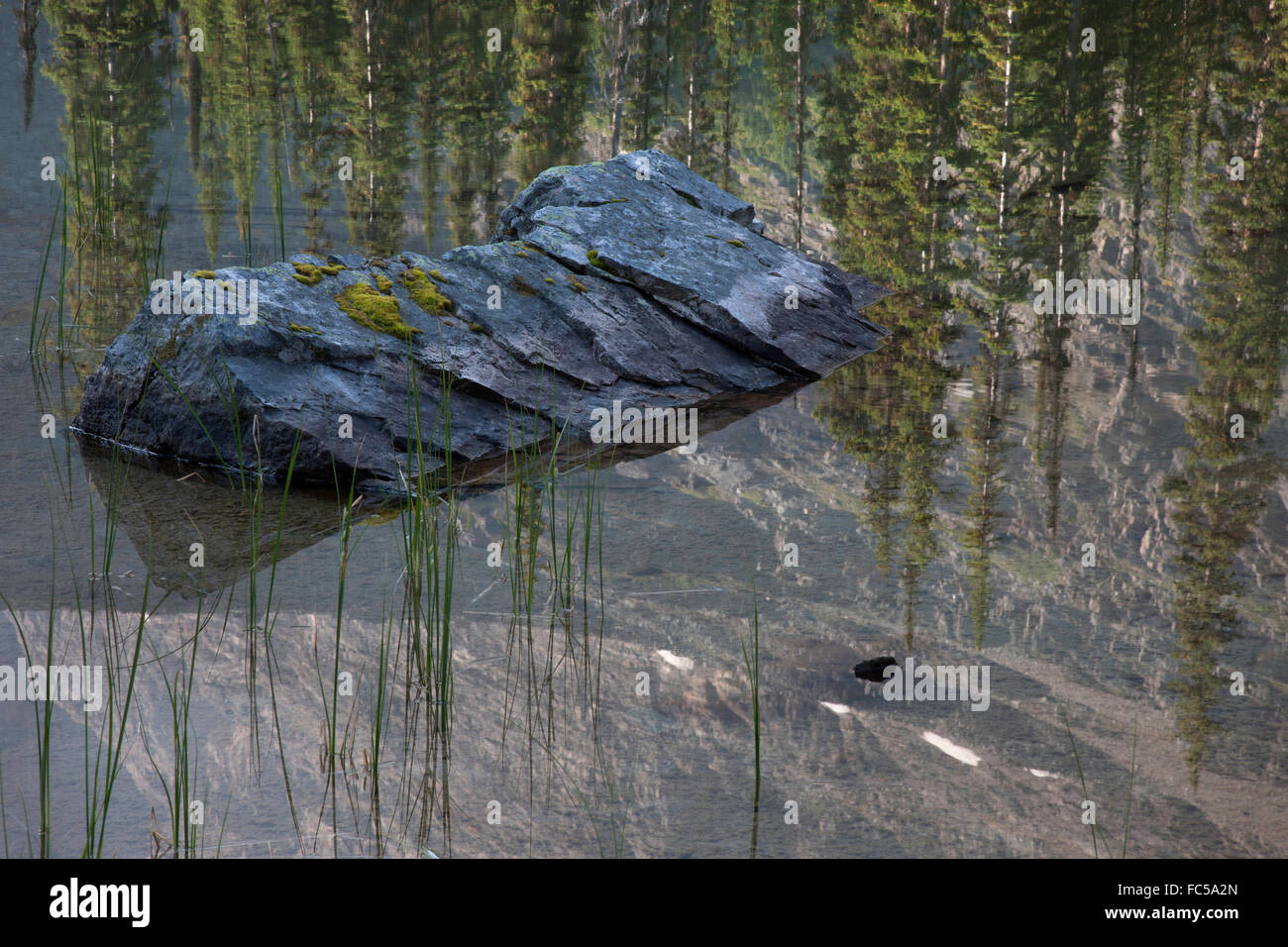 Mary Lake, Yoho-Nationalpark, Kanada Stockfoto