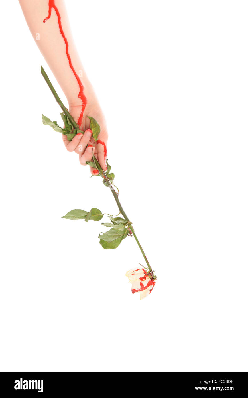 Blut fließt auf Hand und Blume Stockfoto