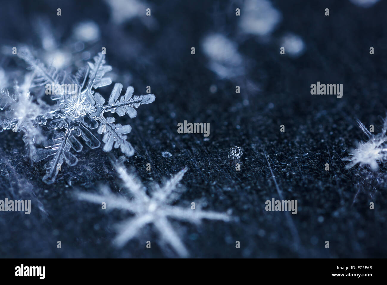 Schmelzende Schneeflocken in einem Strahl von Licht Stockfoto