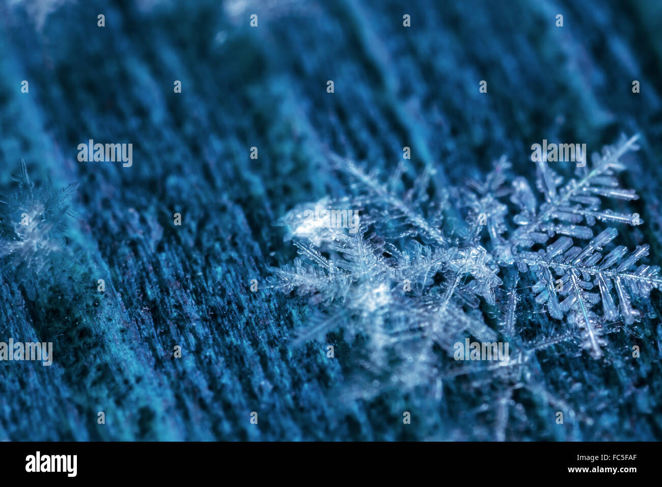 Schmelzende Schneeflocken in einem Strahl von Licht Stockfoto
