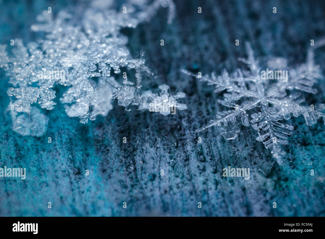 Schmelzende Schneeflocken in einem Strahl von Licht Stockfoto