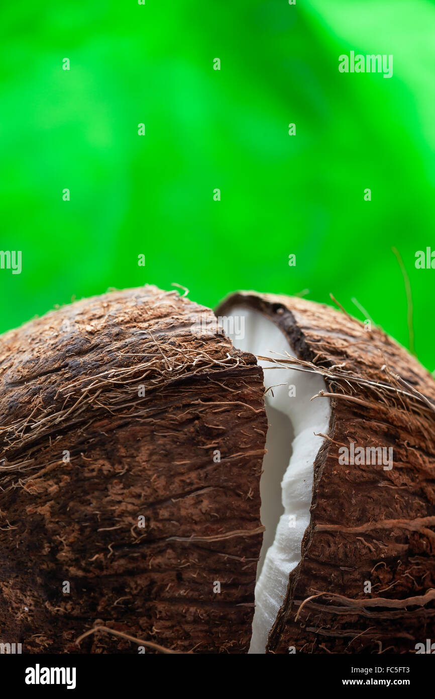 Leckere Kokosnuss mit weißen Kokosfruchtfleisch Stockfoto