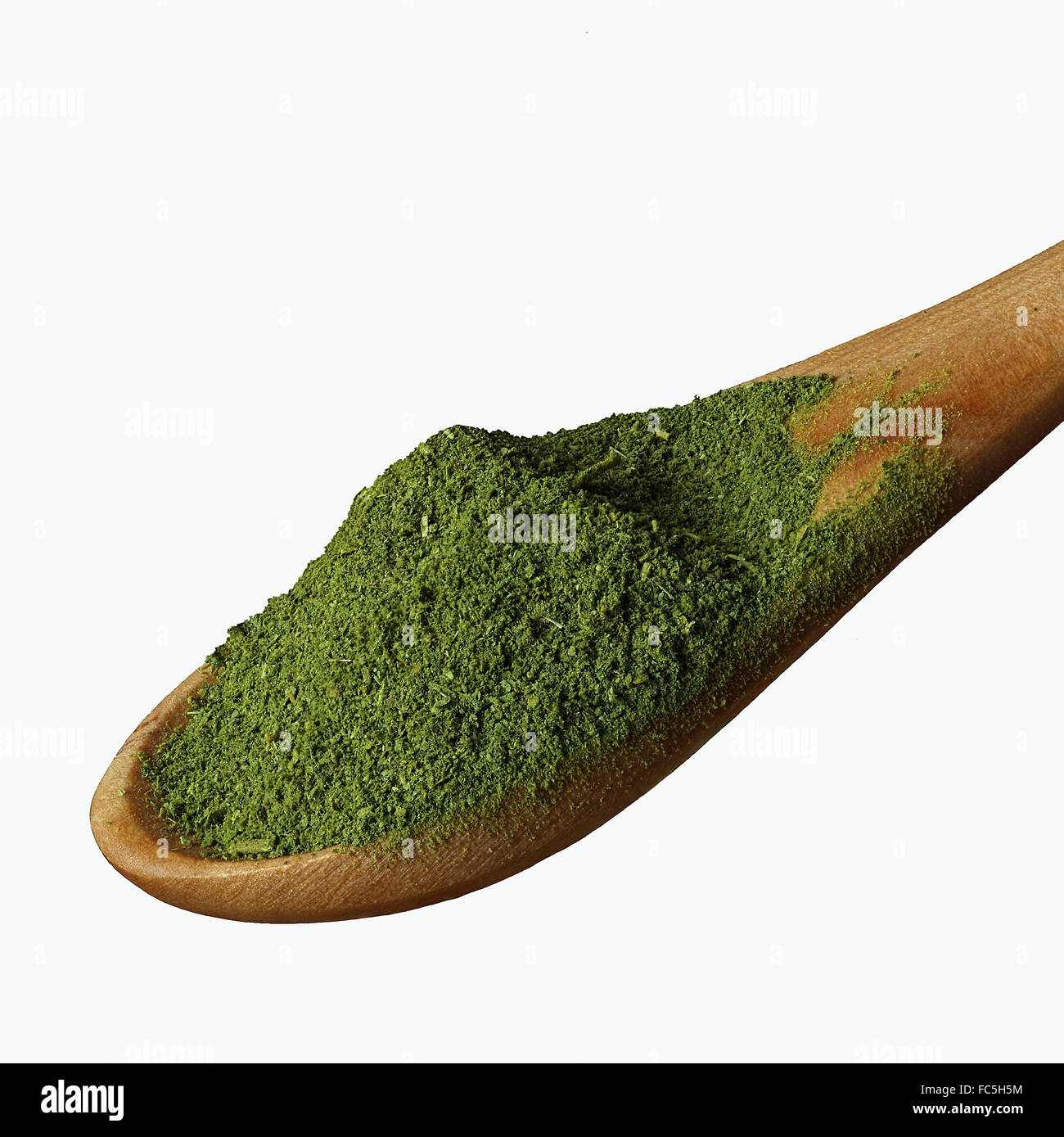 Moringa Oleifera Blätter, Pulver Stockfoto