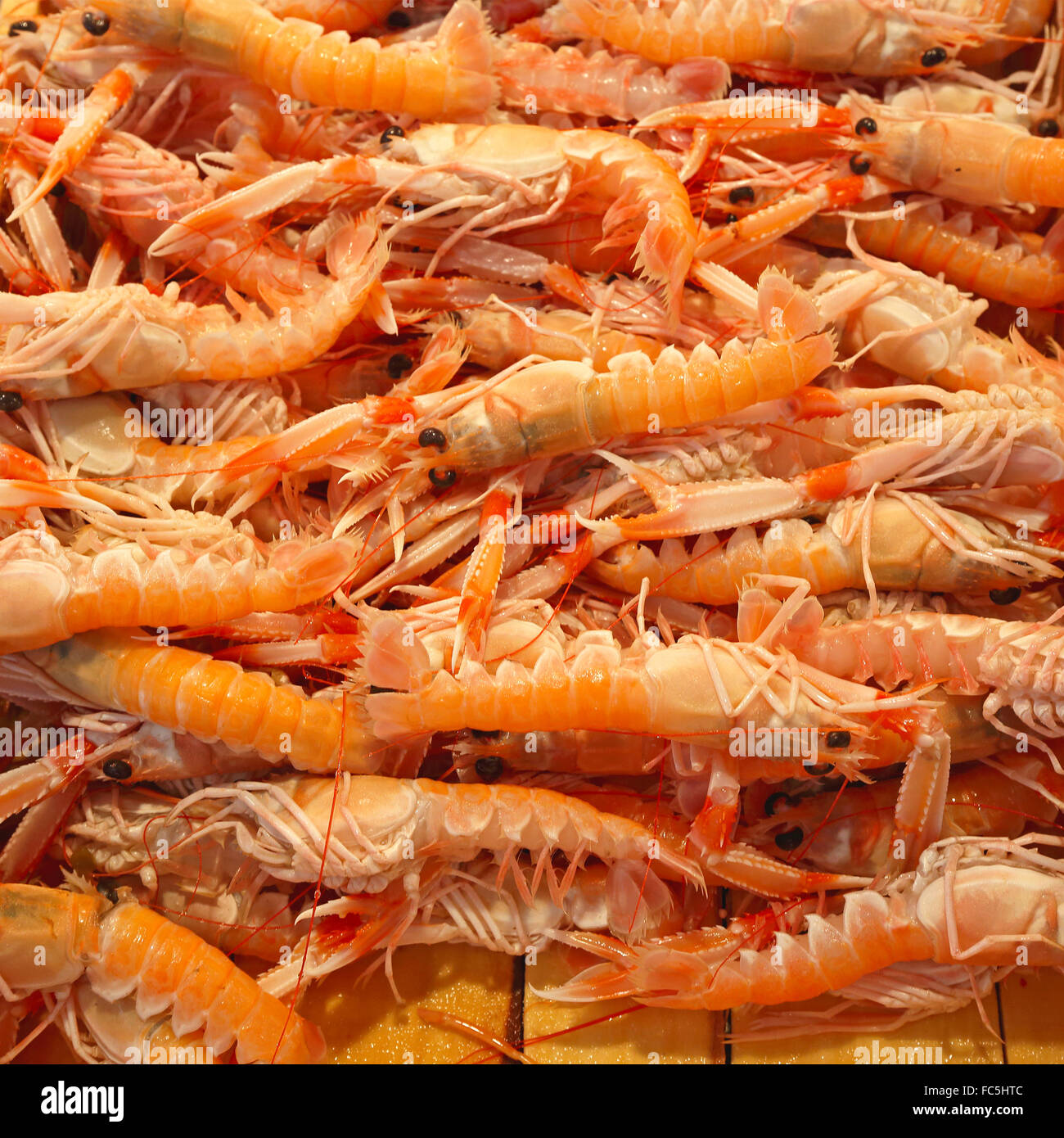 Norwegischer Hummer Stockfoto