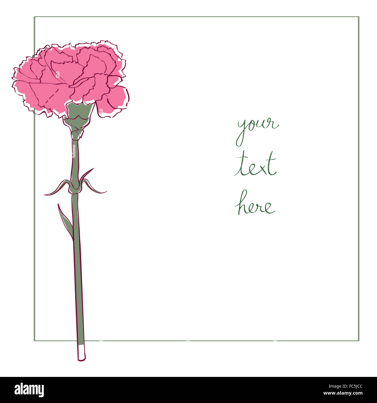 Nelke minimal Karte Stockfoto