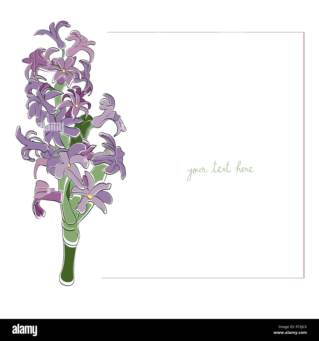 Hyazinthe minimal Karte Stockfoto