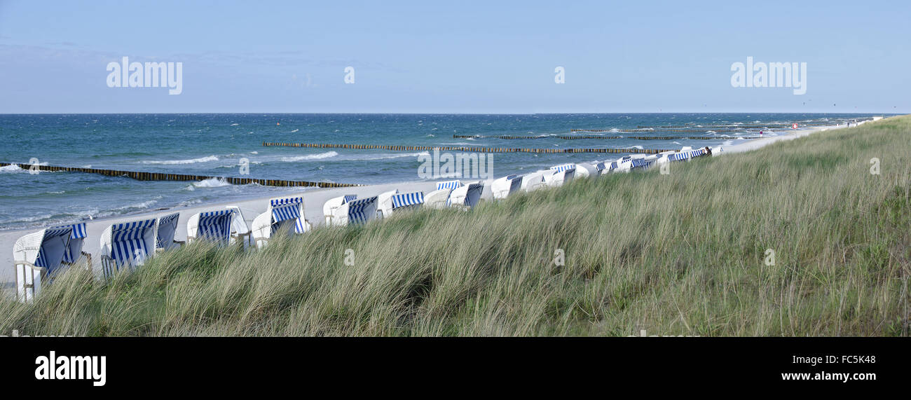 grasbewachsene Deich und Sandstrand Stockfoto