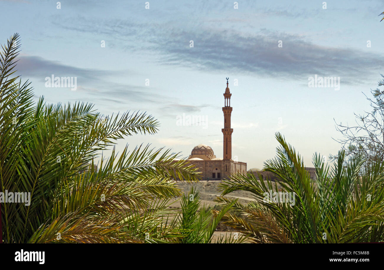 Moschee in Ägypten Stadt von el quesir Stockfoto