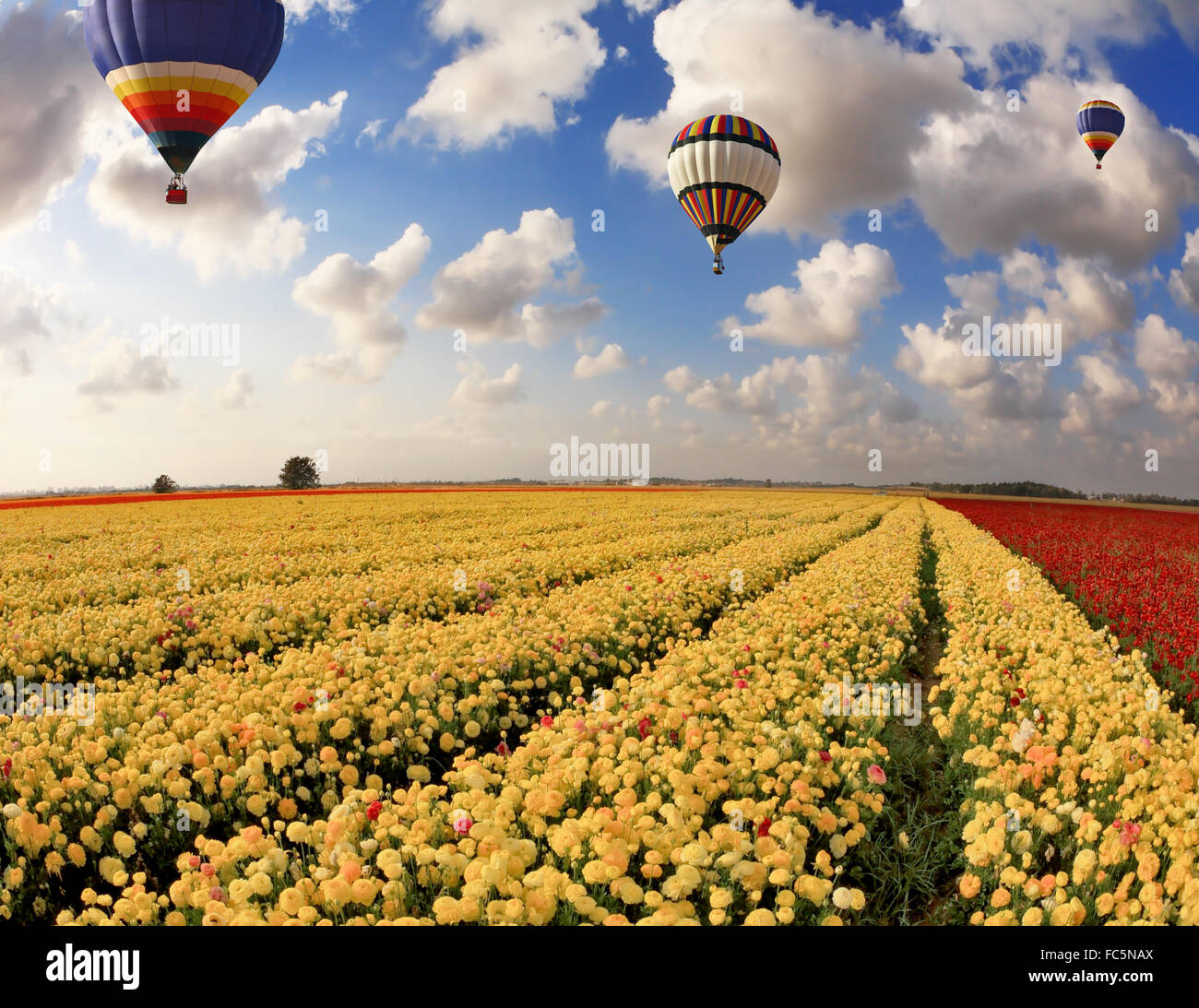 Drei mehrfarbige Luftballons fliegen Stockfoto