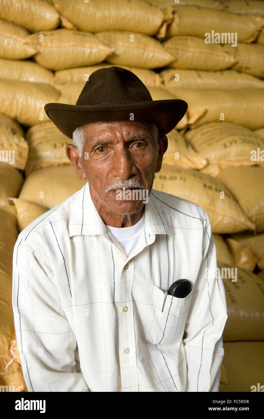 Porträt der Arbeiter im Werk der Kakaobohne in Ecuador, Südamerika Stockfoto