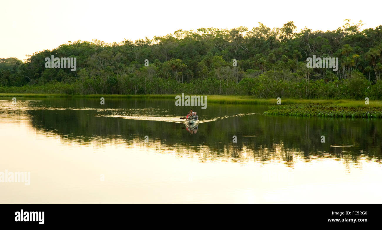 Kanu im Amazonas in Ecuador Stockfoto