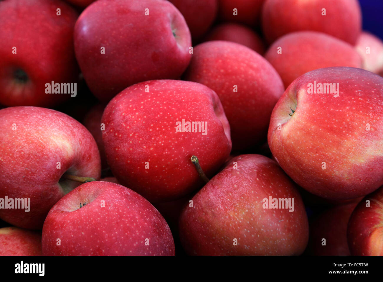 rote Äpfel Stockfoto