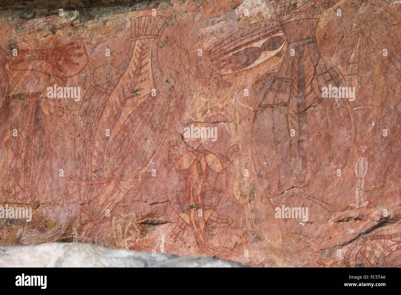 Aborigines Röntgen Stilzeichnungen von Fischen und Schildkröten auf einer Höhle Wand in Ubirr, Northern Territory, Australien Stockfoto