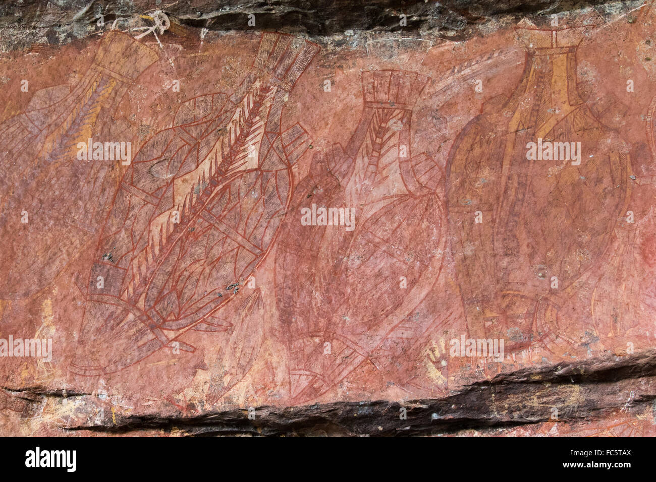 Aborigines Röntgen Stil Fisch Zeichnungen auf einer Höhle Wand in Ubirr, Northern Territory, Australien Stockfoto