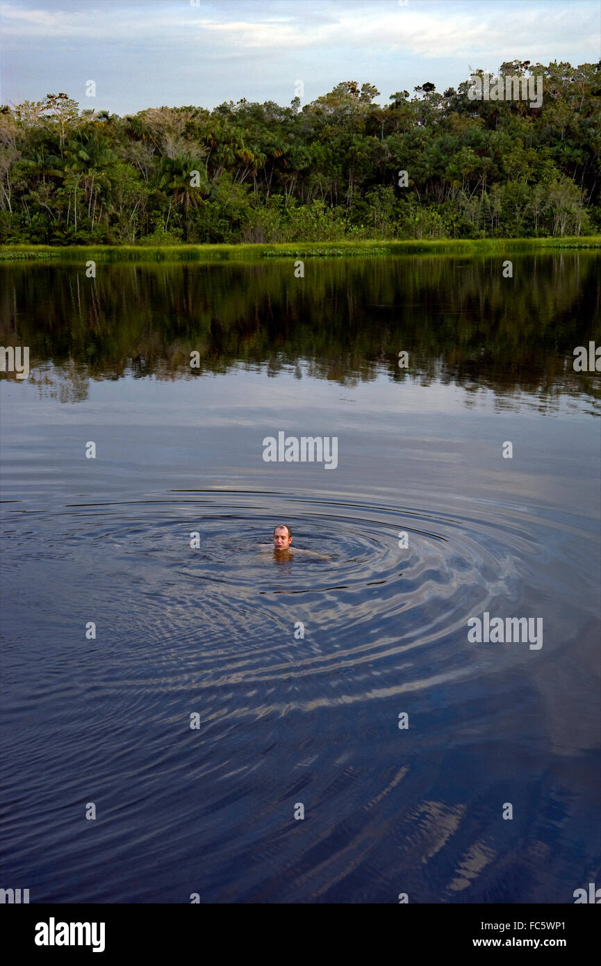 Mann, Schwimmen im Amazonas in Ecuador Stockfoto