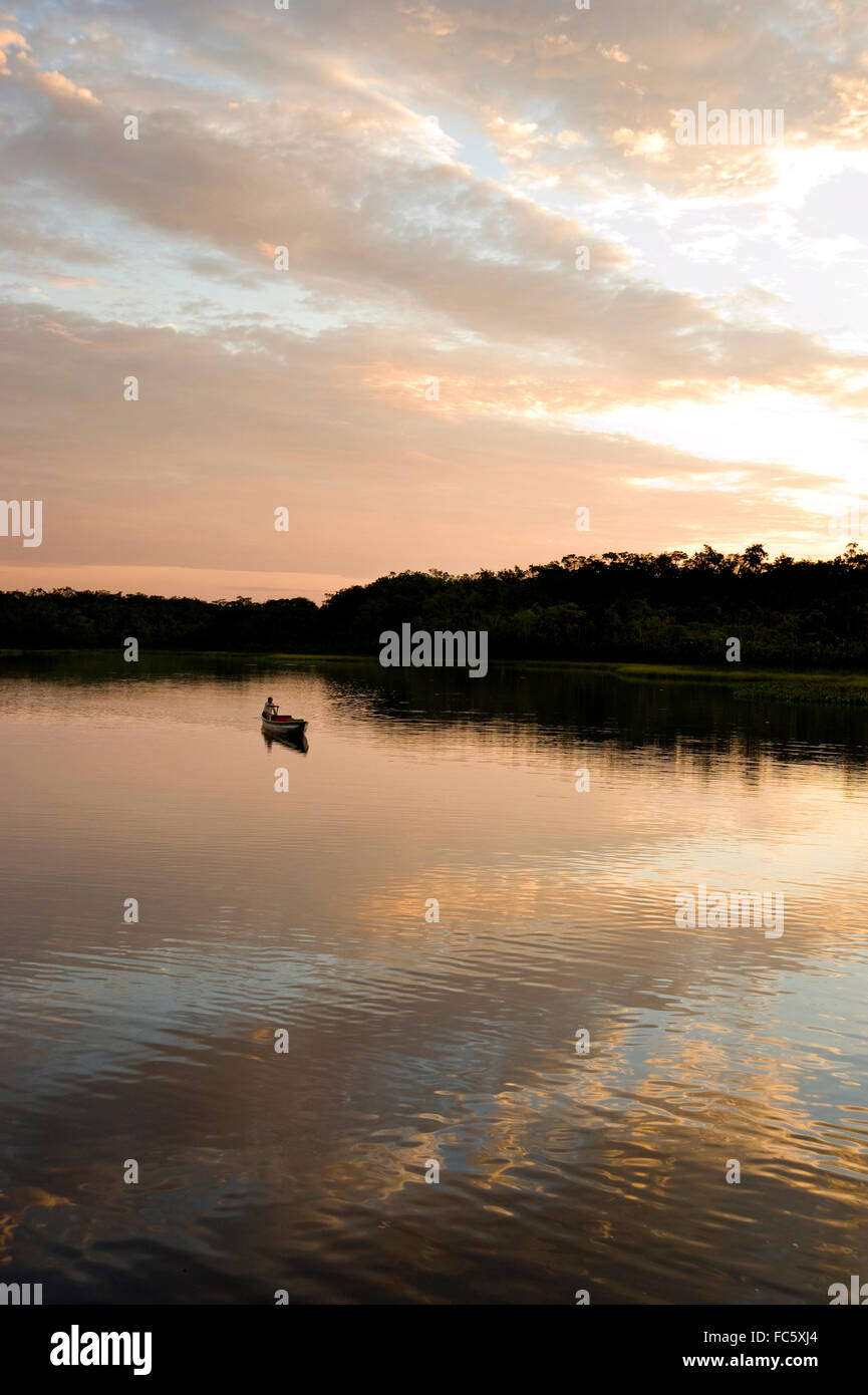 Person, die ein Boot im Amazonas in Ecuador, Südamerika, rudert Stockfoto