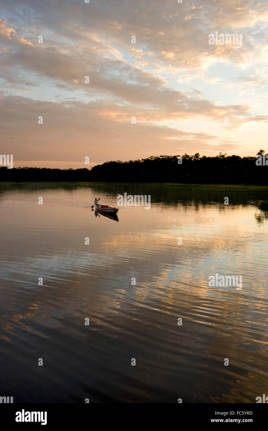 Person, die ein Boot im Amazonas in Ecuador, Südamerika, rudert Stockfoto