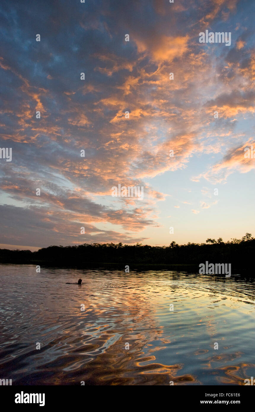 Person im Amazonas schwimmen Stockfoto