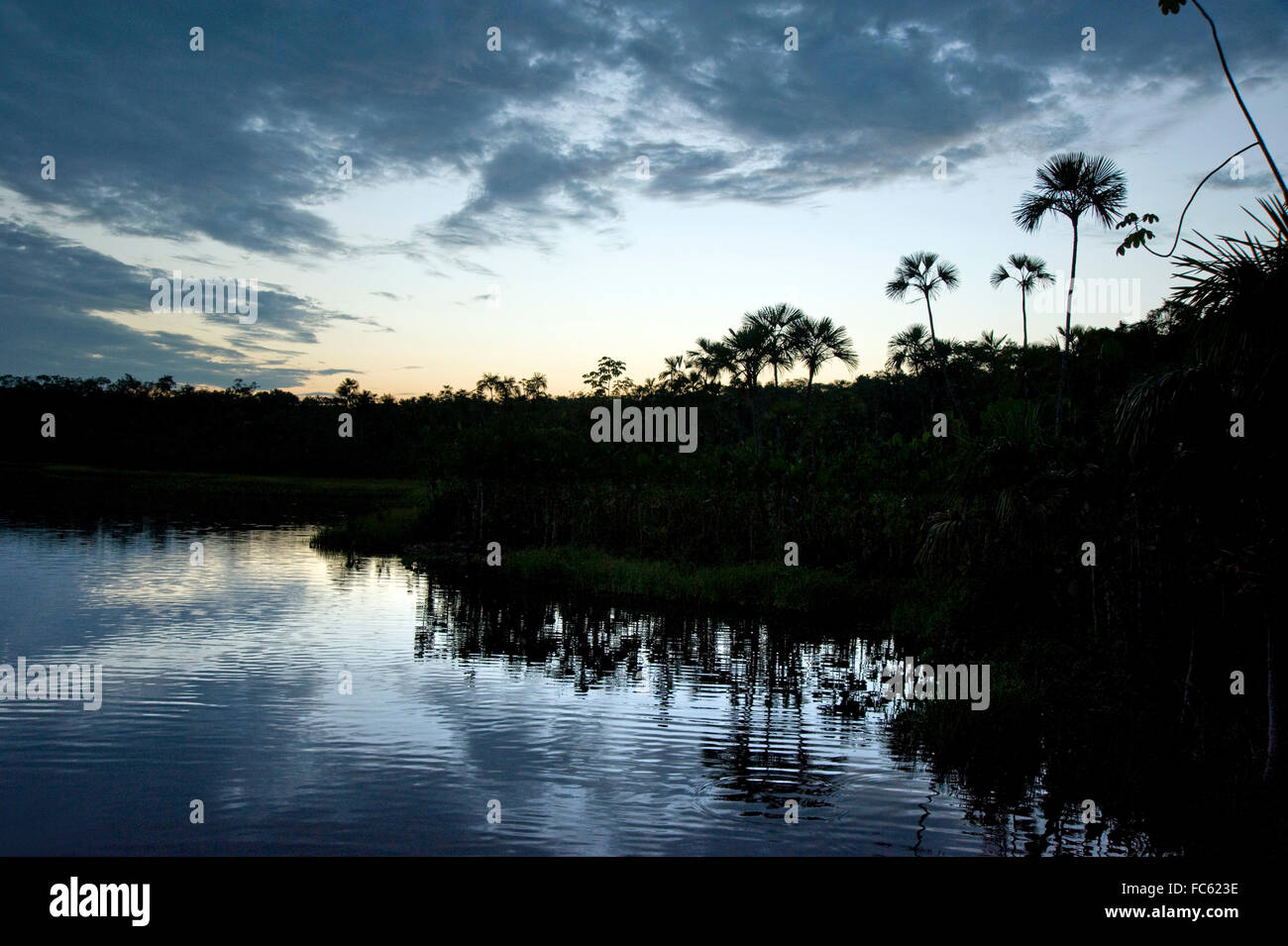 Der Amazonas in Ecuador in der Abenddämmerung Stockfoto