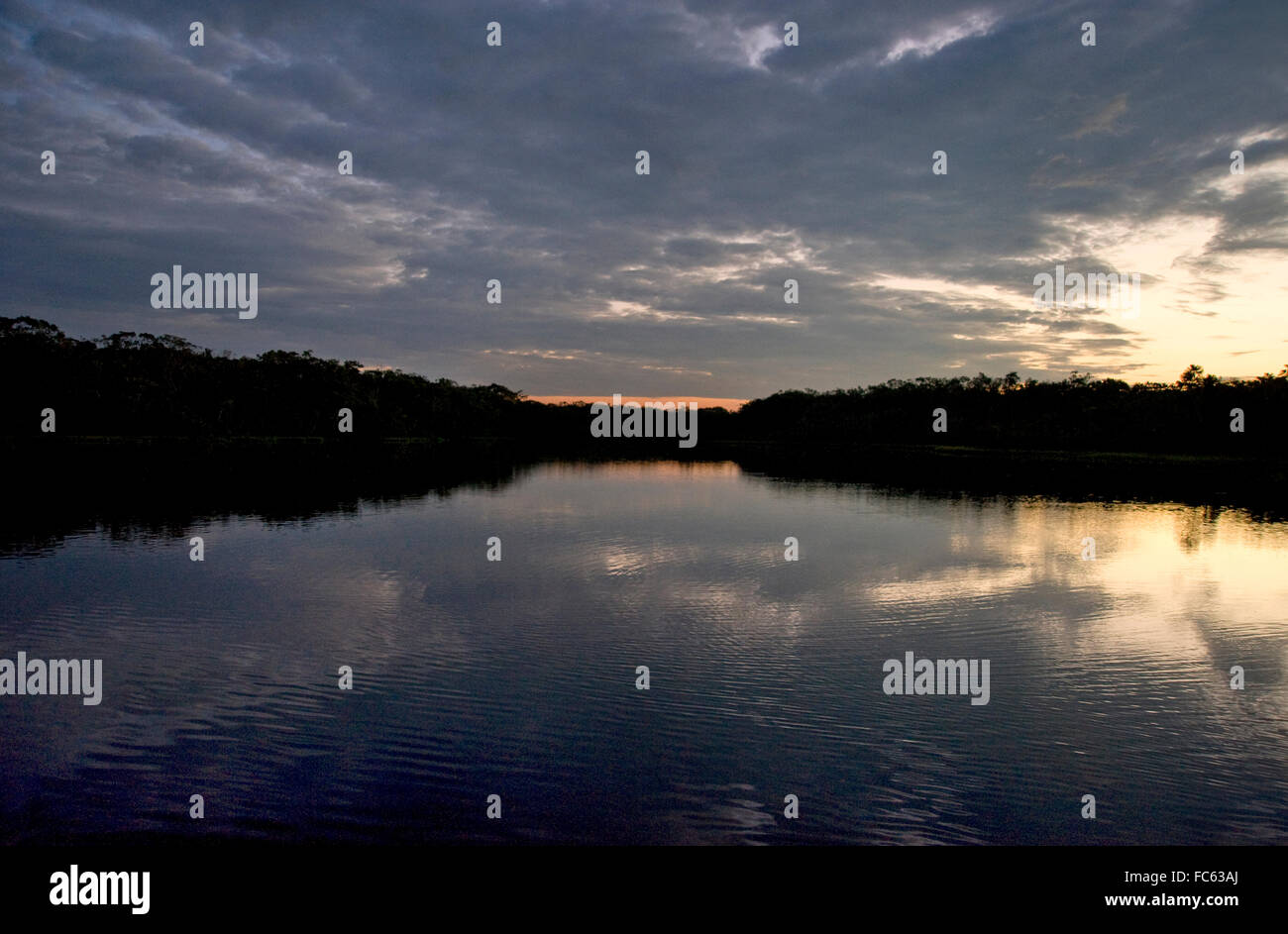 der Amazonas in Ecuador bei Sonnenuntergang Stockfoto