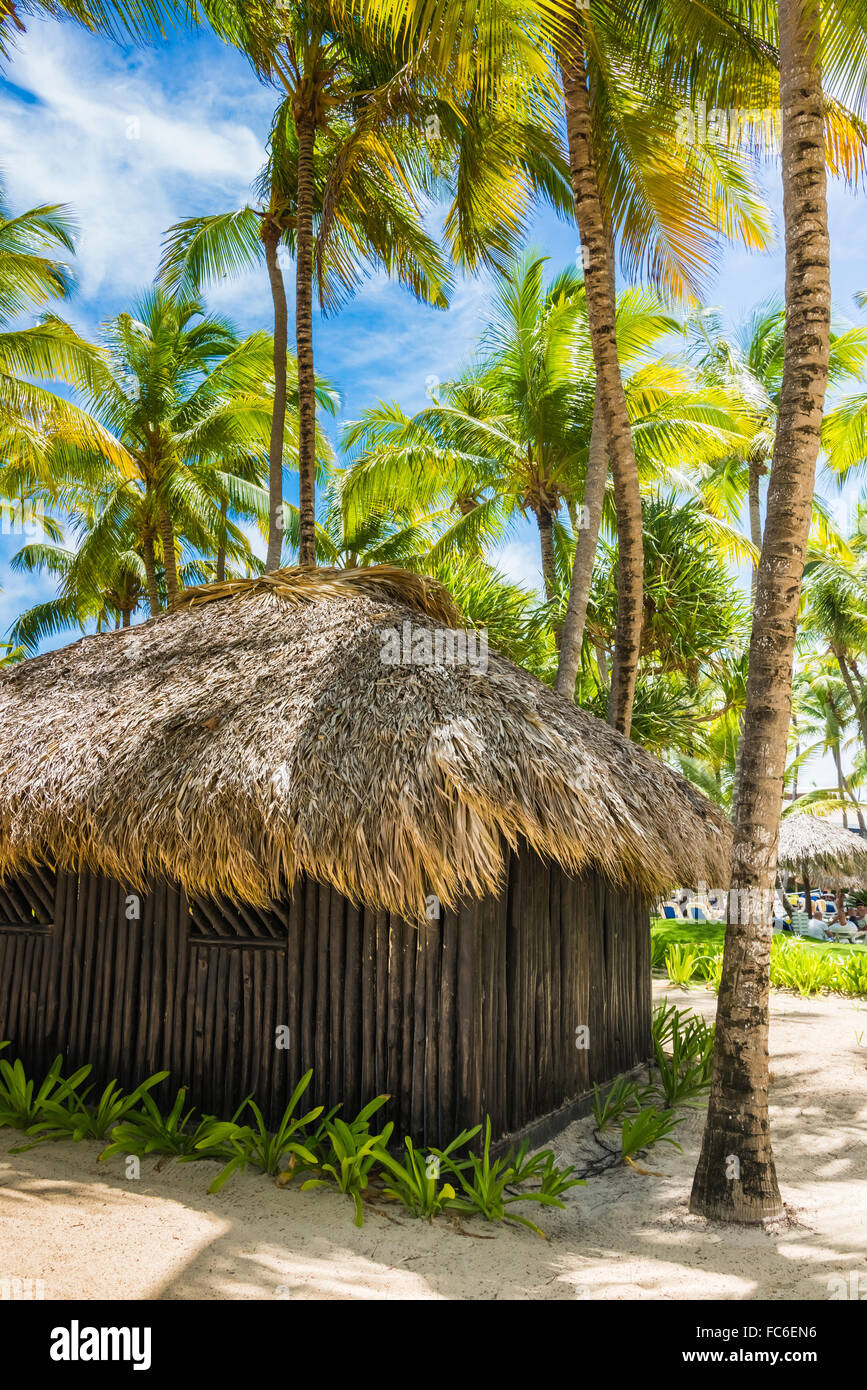 Hütte mit Palmenblättern bedeckt Stockfoto