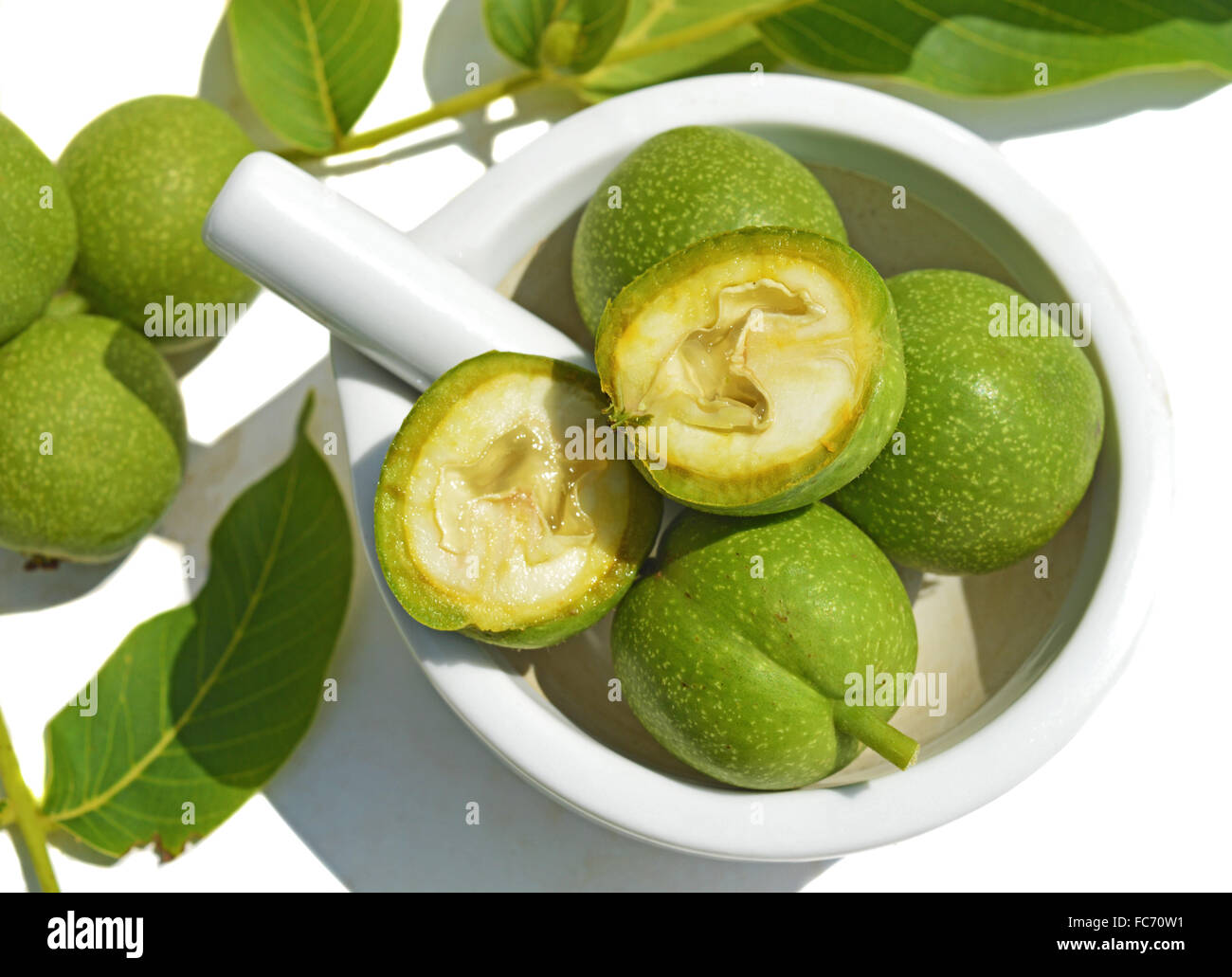 Grüner junge Walnüsse in Schalen Stockfoto