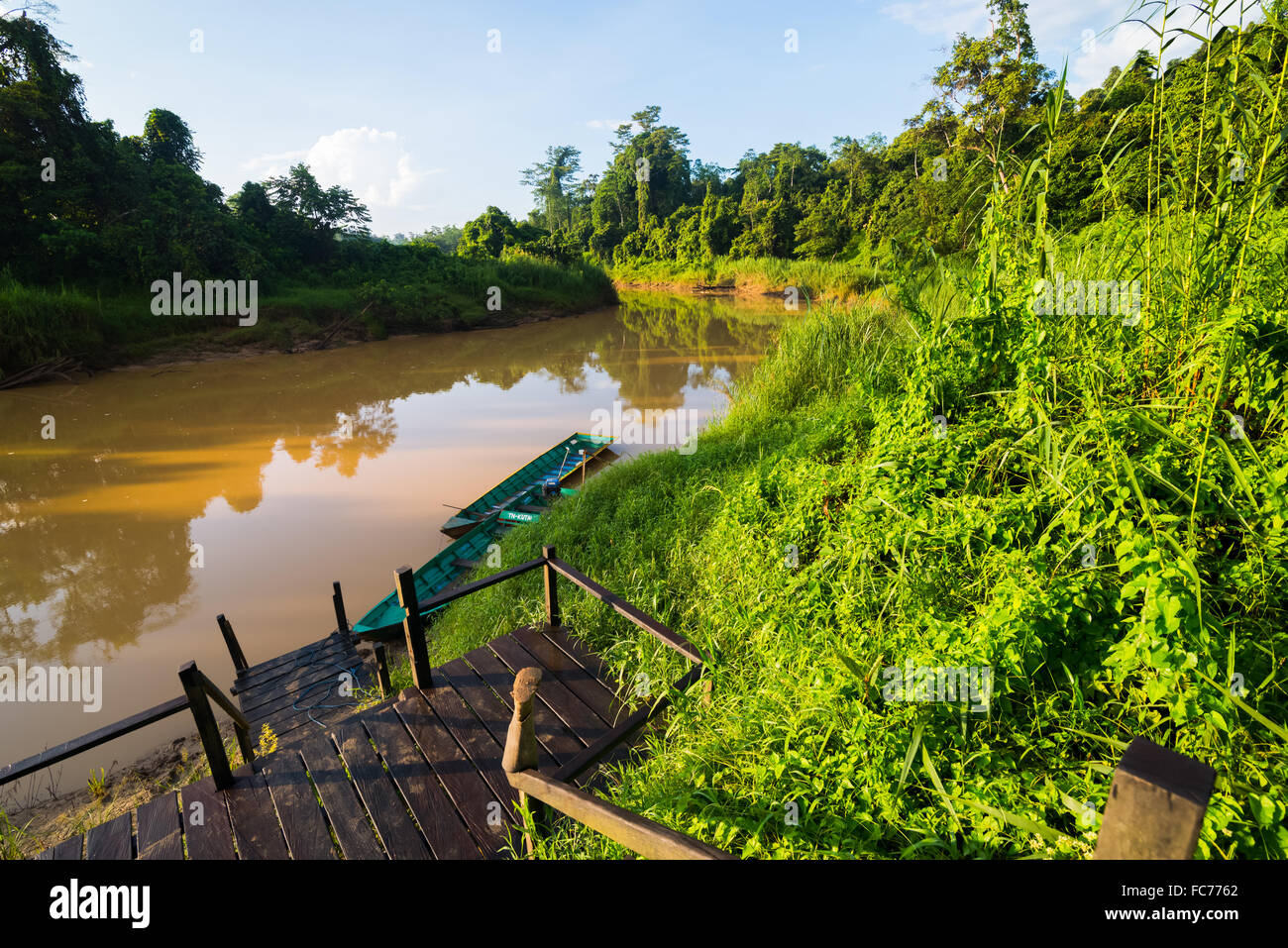 Hölzerner Steg für kleine Boote am Ufer des Sangatta-Flusses im Gebiet des Kutai-Nationalparks in Ost-Kalimantan, Indonesien. Stockfoto