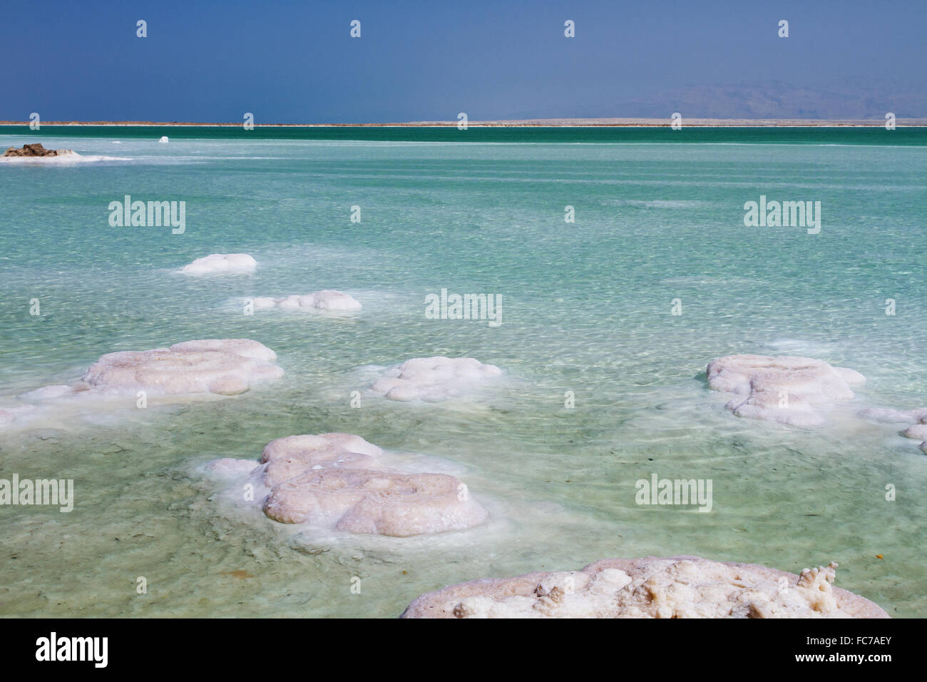Schöne Küste des Toten Meeres. Stockfoto