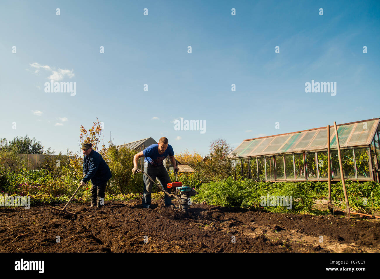 Kaukasische Männer arbeiten im Garten Stockfoto