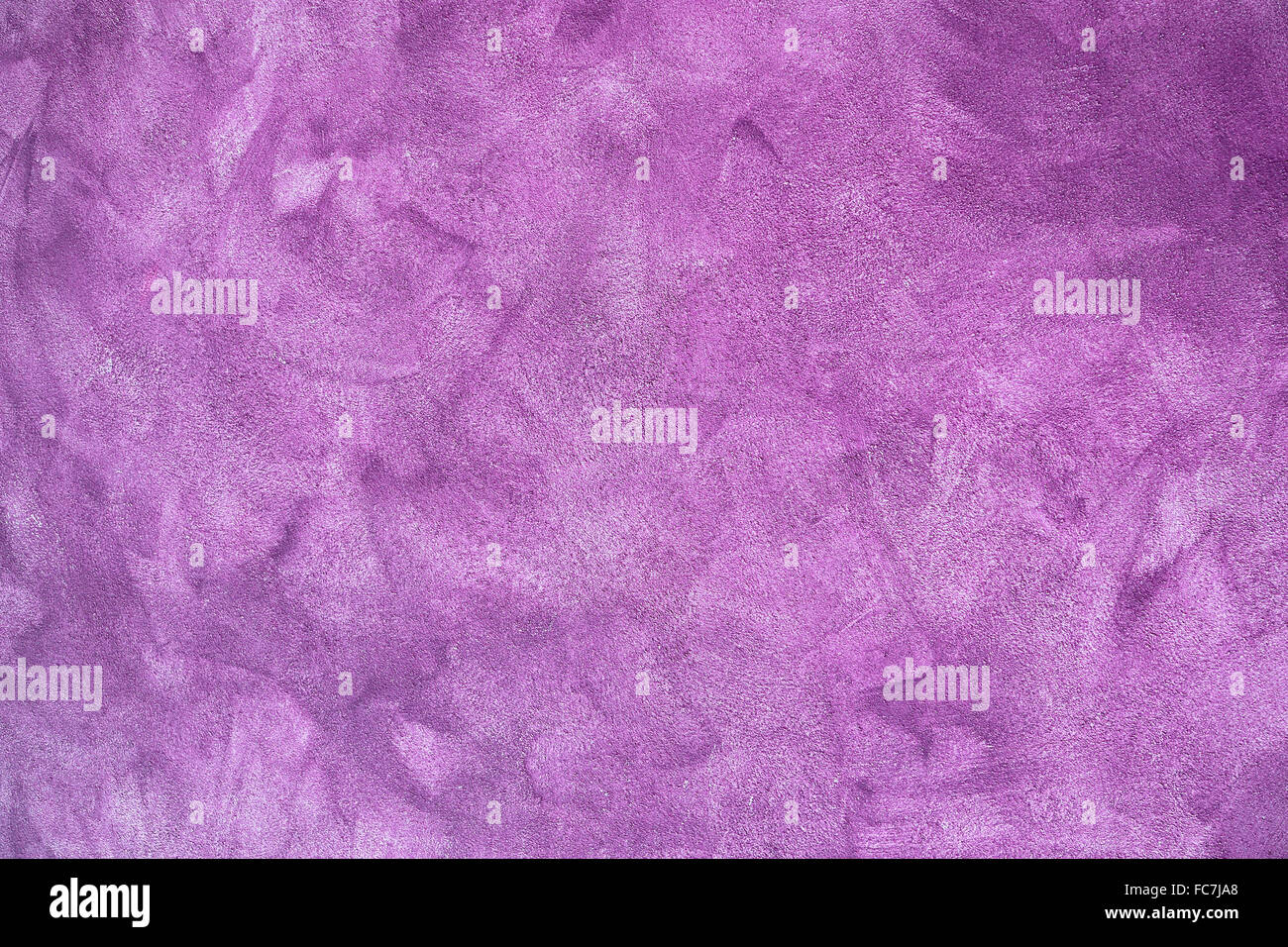 Lila Wand Stockfoto