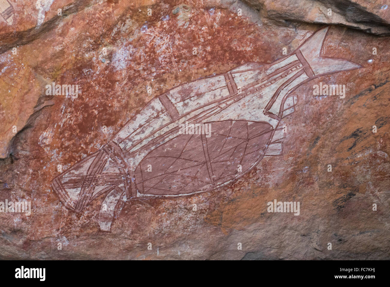 Aborigines Röntgen Stil Fisch Zeichnungen auf einer Höhle Wand im Kakadu-Nationalpark, Northern Territory, Australien Stockfoto