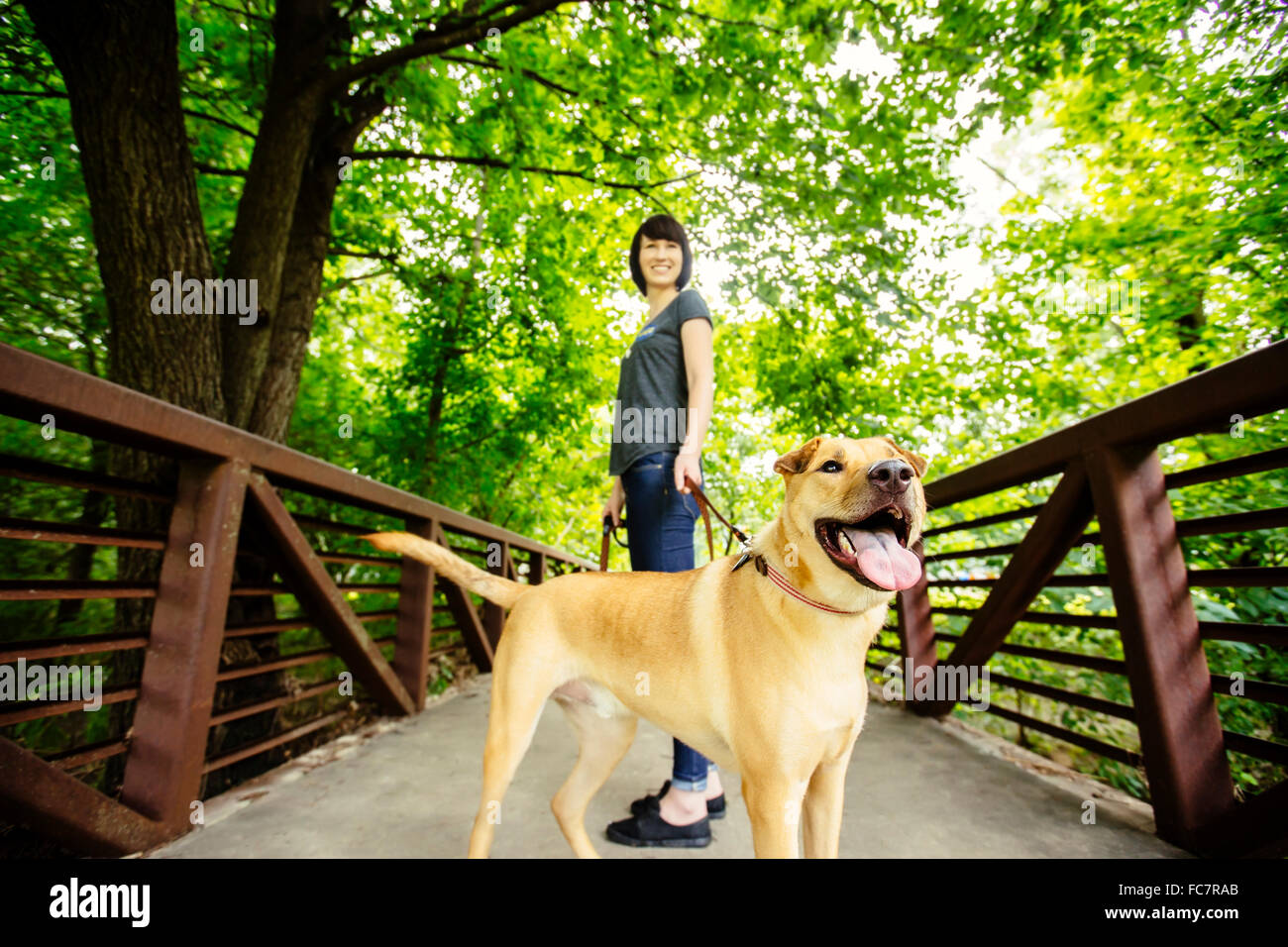 Kaukasische Frau zu Fuß Hund auf Brücke Stockfoto