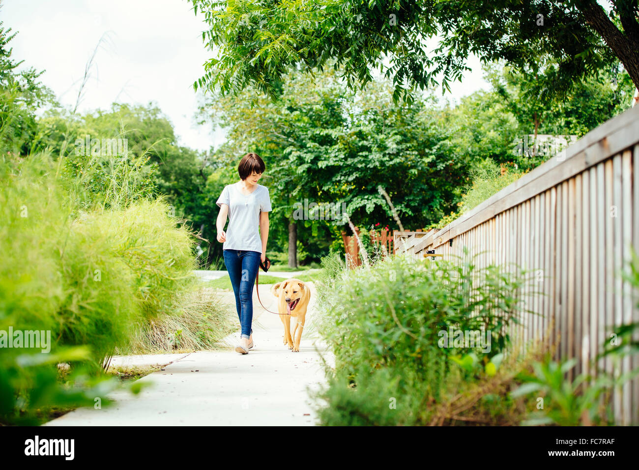 Kaukasische Frau zu Fuß Hund im park Stockfoto