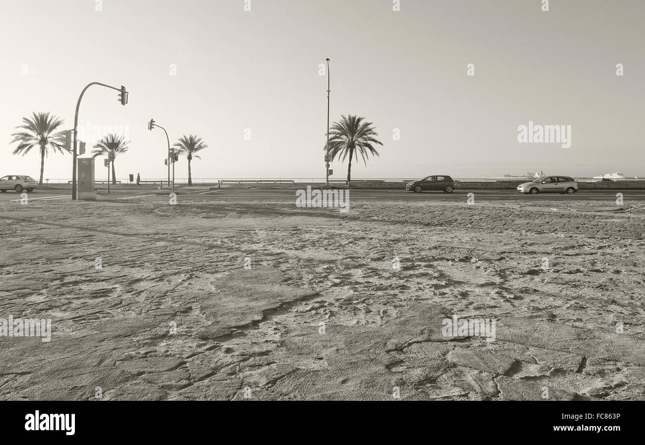 Autos und Palmen Bäume Meerblick entlang der Mittelmeerküste an einem sonnigen Tag im Dezember, Palma De Mallorca, Balearen, Spanien Stockfoto