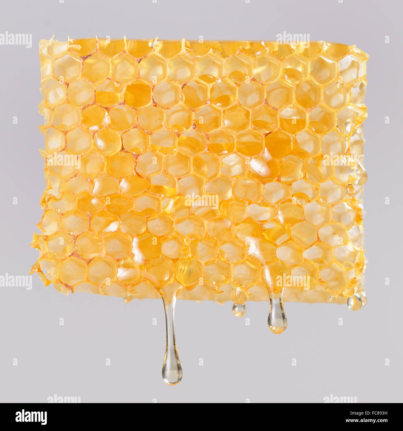 Honig tropft auf Waben Stockfoto