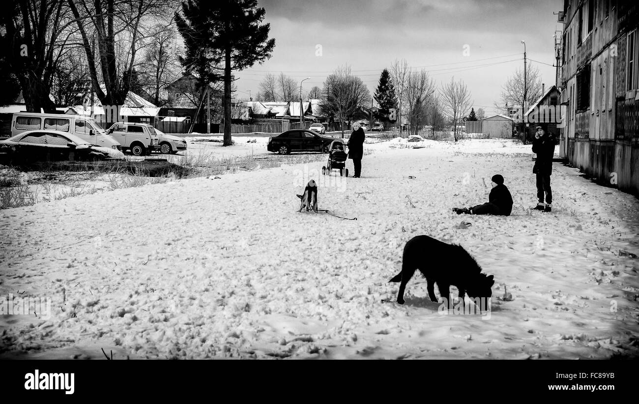 Junge Teenager mit ihren Hunden warten im Winterschnee von einem russischen Dorf wie eine Großmutter Stockfoto