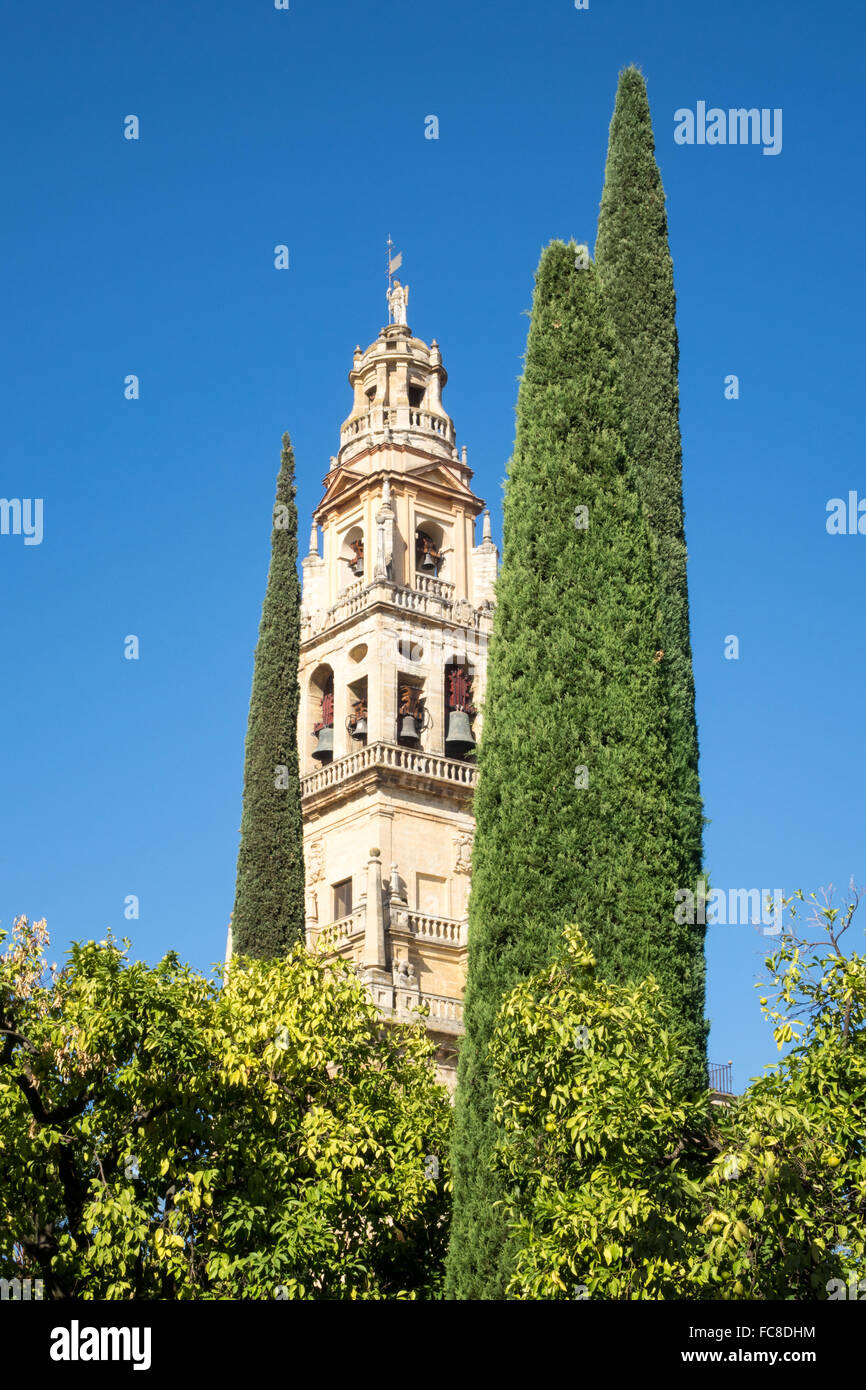 Moschee-Kathedrale von Córdoba in Spanien Stockfoto