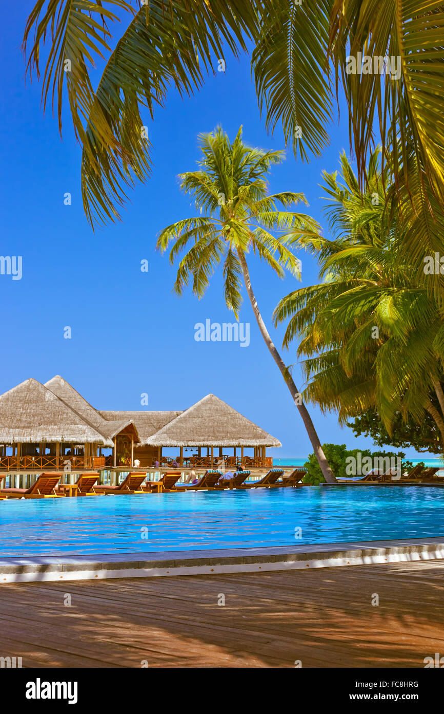 Pool und Café am Malediven Strand Stockfoto