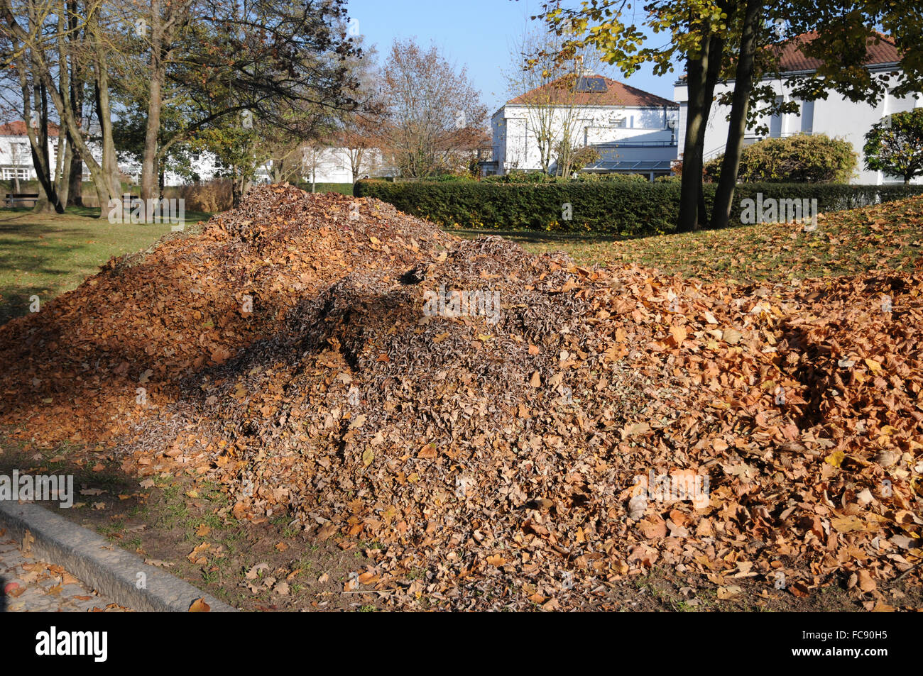 Blätter fallen Stockfoto