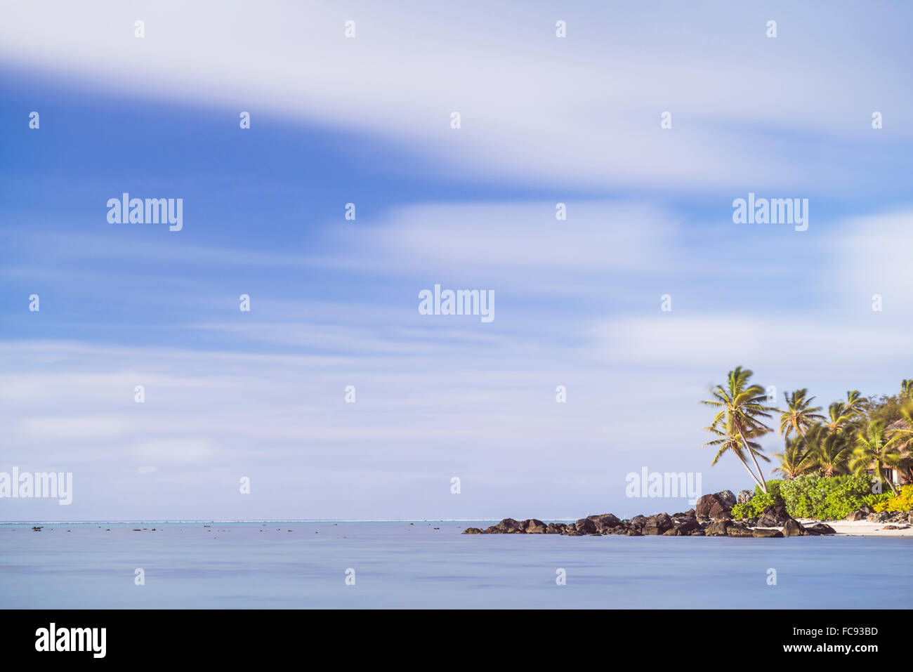 Palm Tree Langzeitbelichtung, Muri, Rarotonga, Cook-Inseln, South Pacific, Pazifik Stockfoto