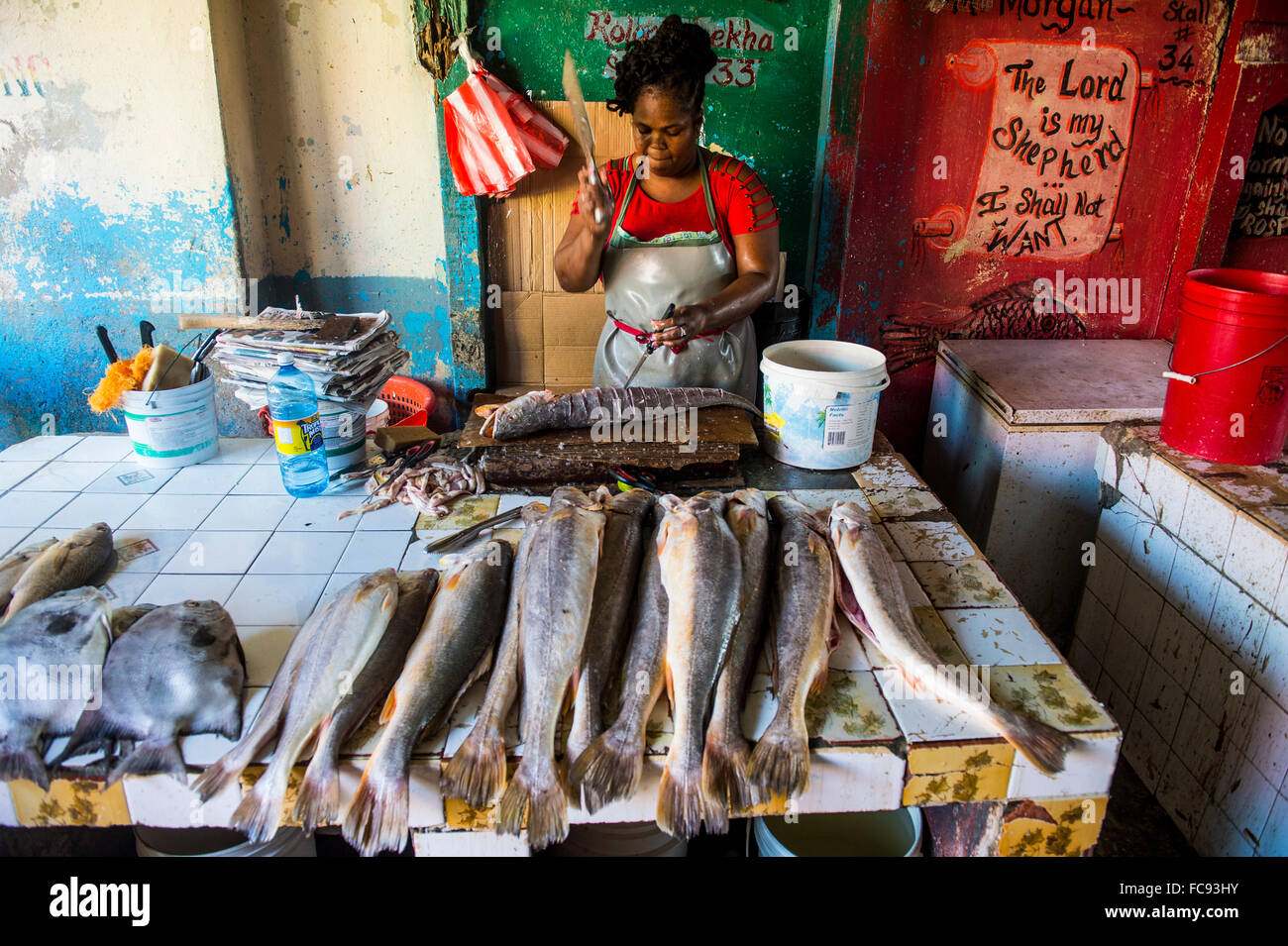 Frau, die Zubereitung von frischen Fisch in Stabroek Markt, Georgetown, Guyana, Südamerika Stockfoto