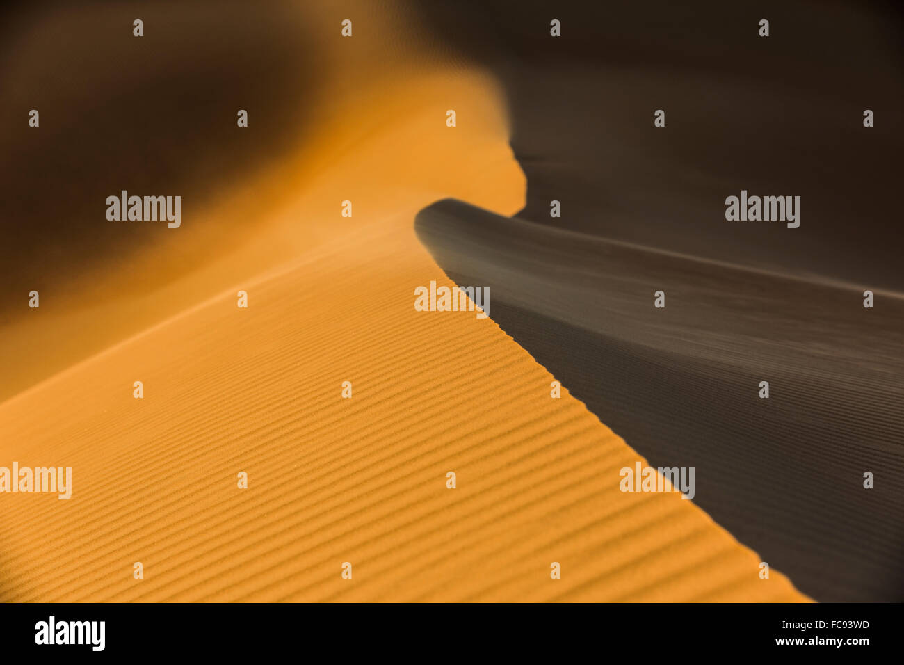 Formen, Strukturen und Muster, Licht und Schatten auf Sanddünen, Rub' al Khali oder Khali, Vereinigte Arabische Emirate Stockfoto