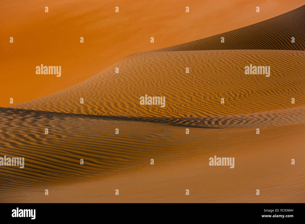 Formen, Strukturen und Muster, Licht und Schatten auf Sanddünen, Rub' al Khali oder Khali, Vereinigte Arabische Emirate Stockfoto